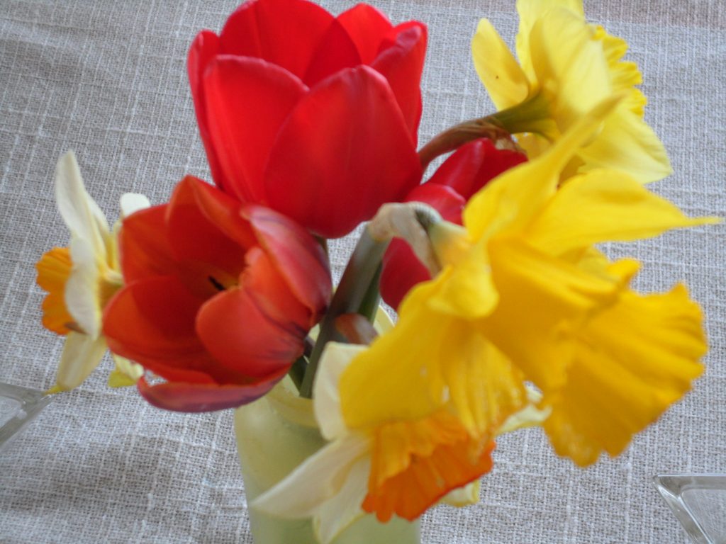 Spring bouquet - season for singing