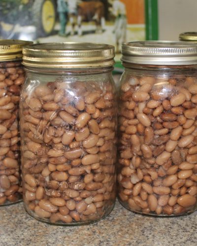beans, ready for the freezer