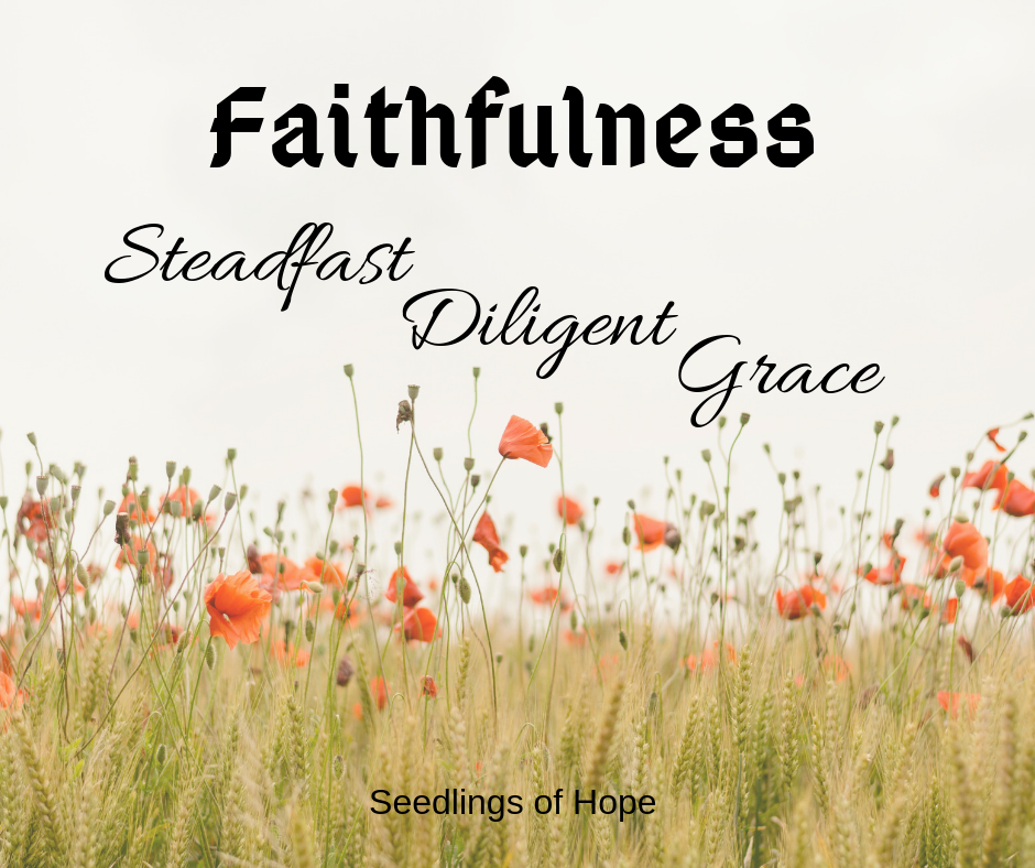 Faithfulness - Steadfast Diligent Grace