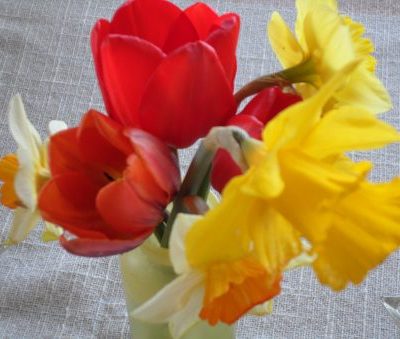 Spring bouquet - season for singing